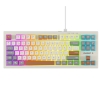 Everest KB-98 SILENT TKL Gri-Gri Mavi-Kahve Rainbow Q Membrane Klavye