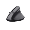 Trust TM-270 Ergonomik Kablosuz Mouse - Siyah